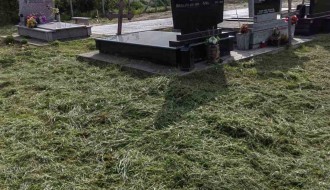 Trava guta groblje u Mišićevu