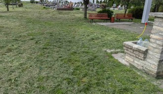 Trava guta groblje u Mišićevu