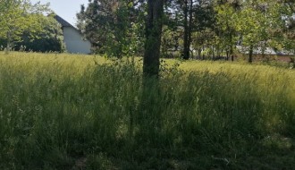 Park u Bikovu zarastao u korov