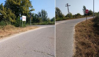 Ambrozija u ulici Marka Oreškovića na Paliću