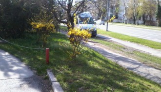 Dostava kurirskih službi