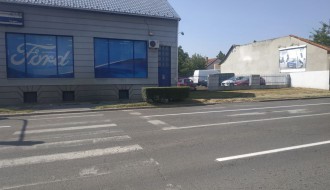 Rastinje na pešačkoj stazi na Beogradskom putu