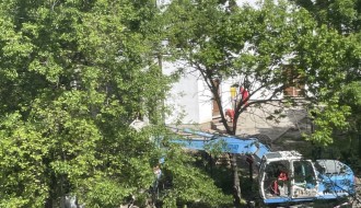 Vađenje stabala oko crkve na Prozivci