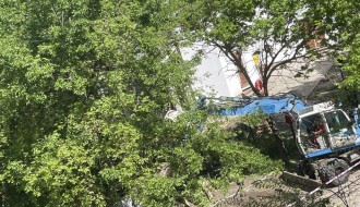 Vađenje stabala oko crkve na Prozivci