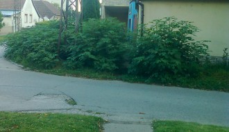 Neuredna zelena površina na raskrsnici ulica Božidara Adžije i Masarikove