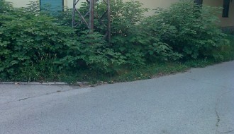Neuredna zelena površina na raskrsnici ulica Božidara Adžije i Masarikove