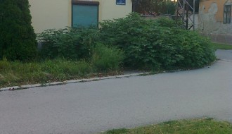 Neuredna zelena površina na raskrsnici ulica Božidara Adžije i Masarikove