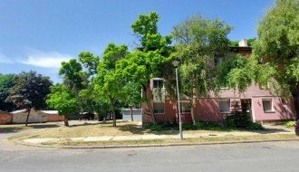 Visoka trava na Teslinom naselju