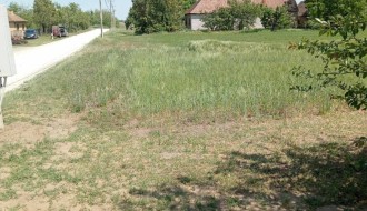 Uzurpiranje javne površine-Tavankut.