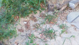 Nezavršeni radovi na parkingu kod Maksija na Prozivci