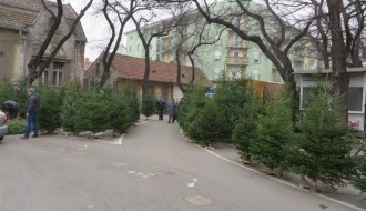 Jelke bez deklaracija