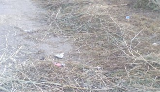 Udarne rupe u Gornjem Tavankutu (ulica Bisni kraj)