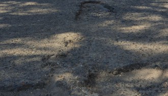 Očajan asfalt u krugu bolnice, prepun kratera