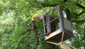 Orezivanje stabala u manjim ulicama