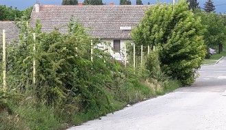 Korov u Verušićkoj ulici