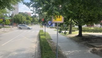 Grane zaklanjaju znak "Škola" (Prozivka)