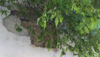 Orezivanje krošnji na javnoj površini (Ulica Dragiše Mišovića)