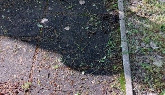 Trim staza u Dudovoj šumi