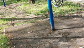 Trim staza u Dudovoj šumi