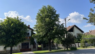 Strujne žice u krošnji (Pačirski put)