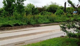 Ulica 26. Nova u Donjem Tavankutu - problem sa visokom travom i psima