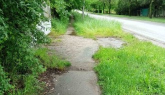 Ulica 26. Nova u Donjem Tavankutu - problem sa visokom travom i psima