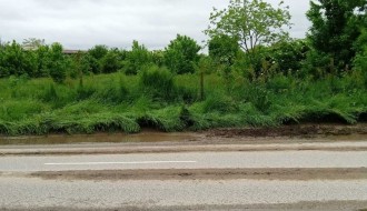 Ulica 26. Nova u Donjem Tavankutu - problem sa visokom travom i psima