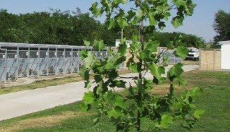 Gradski azil za pse i mačke na +40