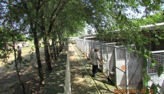 Gradski azil za pse i mačke na +40