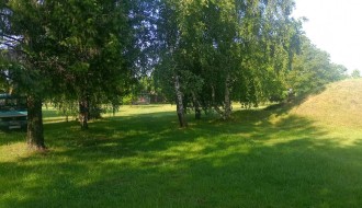 Visoka trava u parku na Bikovu