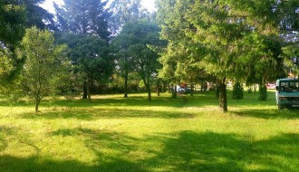 Visoka trava u parku na Bikovu