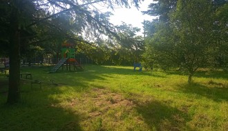 Visoka trava u parku na Bikovu