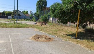 Zapušteno dečje igralište u Gatu