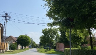 Znak stop - ne vidi se (ugao Stevana Mokranjca i Augusta Cesarca)