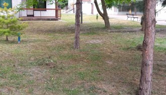 Visoka trava u Kireškoj ulici