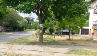 Visoka trava u Kireškoj ulici