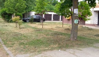 Visoka trava u Kireškoj ulici