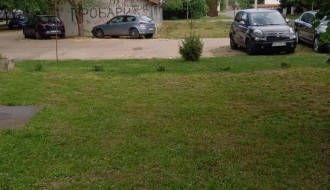 Visoka trava u Kireškoj ulici