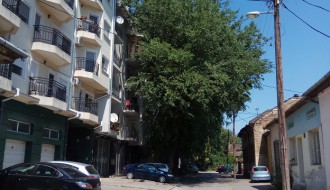 Kada Čistoća i zelenilo (ne) radi posao za koji su plaćeni