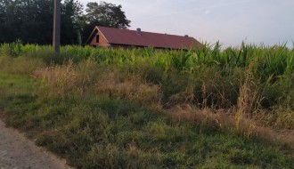 Trava i korov na stazi u ulici Frana Supila