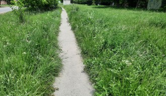 Visoka trava pored jedine pešačke staze u ulici Partizanskih baza