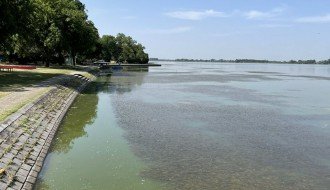 Uginula riba uz turistički deo Palićkog jezera