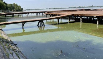 Uginula riba uz turistički deo Palićkog jezera