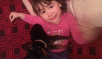 Izgubljen pas patuljasti pinč