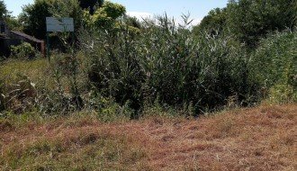 Košenje trave na Jasibari