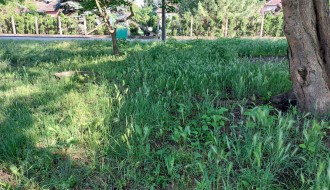 Zapušteno igralište u Daruvarskoj ulici na Paliću