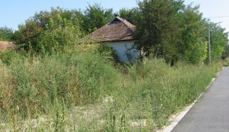 Zarasla biciklistička staza i visoka trava pored samog međunarodnog puta