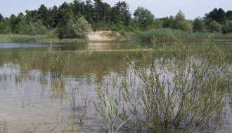 Majdansko jezero skoro pa presušilo