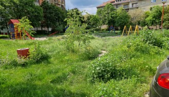 Visoka trava u naselju Tokio