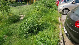 Visoka trava u naselju Tokio